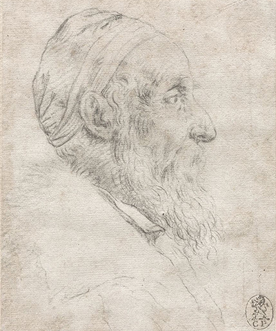 Titian Drawings